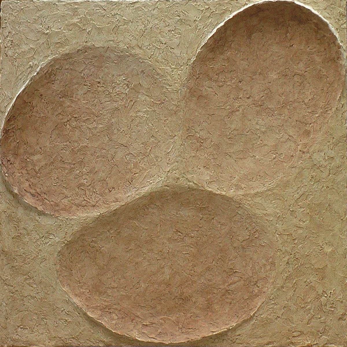 2007,Otisk plodu země 2 ,sádra, 50x50 cm